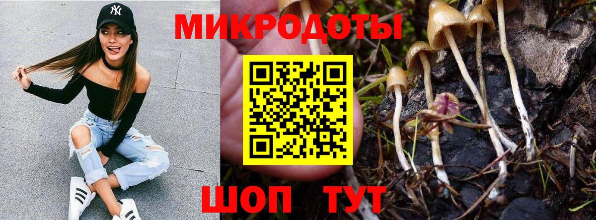 Галлюциногенные грибы Psilocybine cubensis Вышний Волочёк