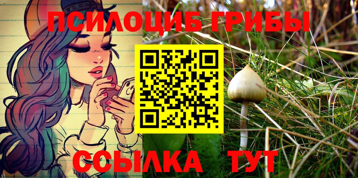 Вышний Волочёк  Галлюциногенные грибы Psilocybine cubensis  Вход с VPN 